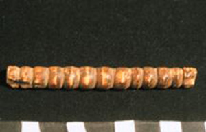 Thumbnail of Fragment, Remnant (1914.05.0107)