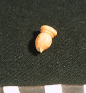 Thumbnail of Fragment, Remnant: Hair Dart?, Finial? (1914.05.0109)