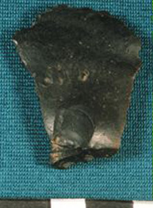 Thumbnail of Stone Tool: Flake (1915.07.0002)