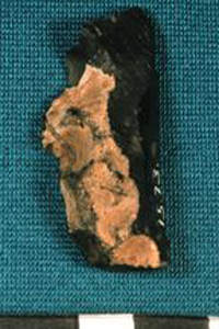 Thumbnail of Stone Tool: Flake (1915.07.0003)