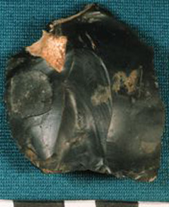 Thumbnail of Stone Tool: Flake (1915.07.0004)