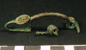Thumbnail of Fibula (1924.02.0121A)