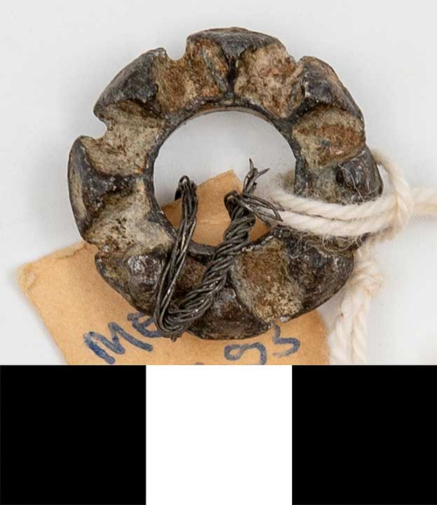 Thumbnail of Ring-Shaped Fragment (1924.02.0164)