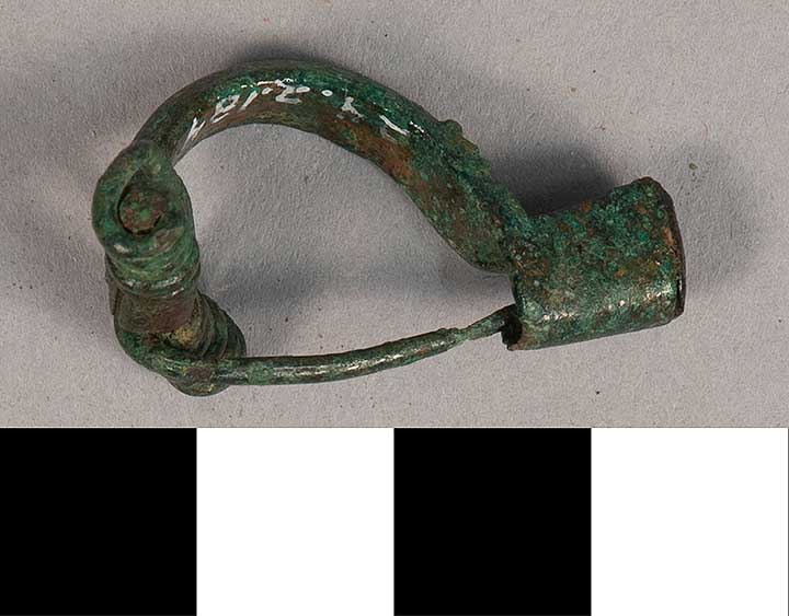 Thumbnail of Springform Fibula (1924.02.0184)