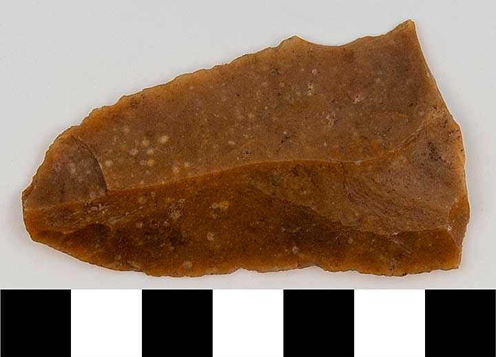 Thumbnail of Stone Tool: Flaked Knife with Denticulate Edge (Fragment) (1924.02.0236A)