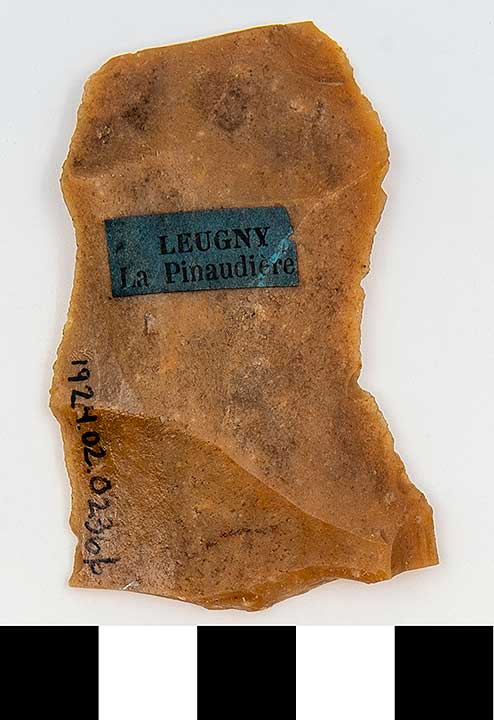 Thumbnail of Stone Tool: Flaked Knife with Denticulate Edge (Fragment) (1924.02.0236B)