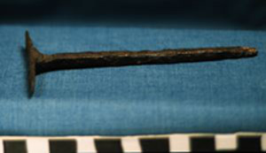 Thumbnail of Nail (1924.02.0290)