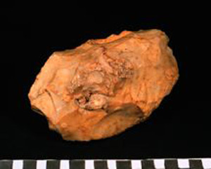 Thumbnail of Stone Tool: Polishing Stone (1924.02.0475)