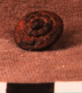 Thumbnail of Iron Button (1924.02.0478)