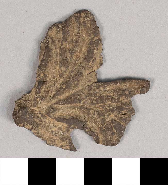Thumbnail of Fragment: Leaf (1924.02.0493)