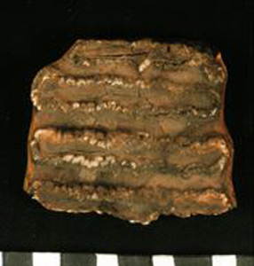 Thumbnail of Biospecimen: Elephant Tooth Fragment (1930.08.0057A)