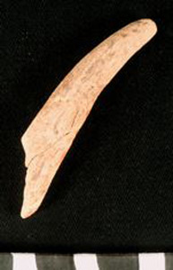 Thumbnail of Raw Material: Antler Fragments, Horn Core (1930.08.0065)