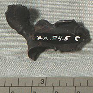 Thumbnail of Missile Fragment (1900.84.0005C)