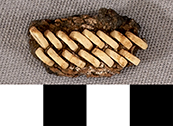 Thumbnail of Mummy Beads  (1901.08.0029B)