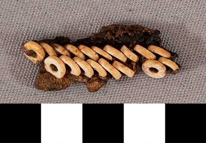 Thumbnail of Mummy Beads  (1901.08.0029D)