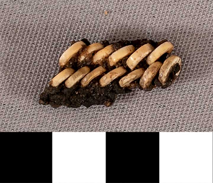 Thumbnail of Mummy Beads  (1901.08.0029F)