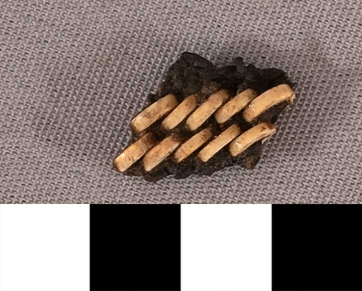 Thumbnail of Mummy Beads  (1901.08.0029I)