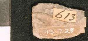 Thumbnail of Stone Tool: Point (1915.07.0028)