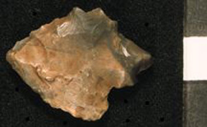 Thumbnail of Stone Tool: Point (1915.07.0029)