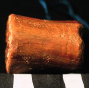 Thumbnail of Reproduction of Minoan Seal (1918.07.0003A)