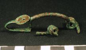 Thumbnail of Fibula Spring Fragment (1924.02.0121B)