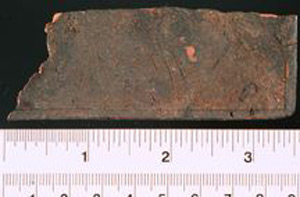 Thumbnail of Wax Tablet Fragment (1900.38.0005)