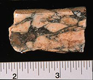 Thumbnail of Tile Fragment (1900.77.0002)