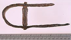 Thumbnail of Unidentified Object (1901.05.0012)