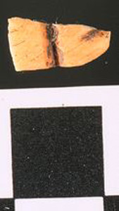 Thumbnail of Fragment (1901.11.0008)
