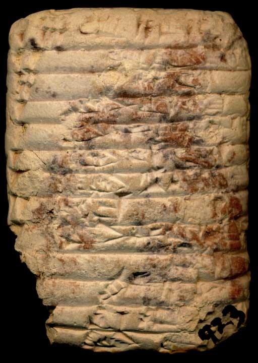 Thumbnail of Cuneiform Tablet (1913.14.1329)