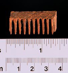 Thumbnail of Comb (1914.05.0156)