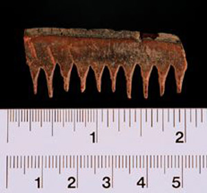Thumbnail of Comb Fragment (1914.05.0157)