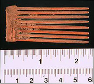 Thumbnail of Comb (1914.05.0159)