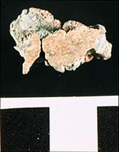 Thumbnail of Water Pipe Fragment (1916.04.0006N)