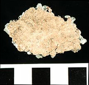 Thumbnail of Water Pipe Fragment (1916.04.0006R)