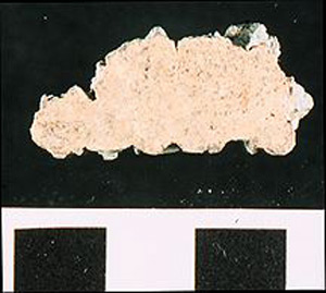 Thumbnail of Water Pipe Fragment (1916.04.0007B)