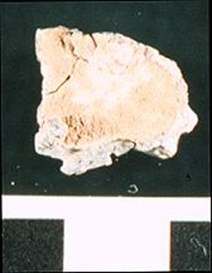 Thumbnail of Water Pipe Fragment (1916.04.0007C)