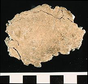 Thumbnail of Water Pipe Fragment (1916.04.0007D)