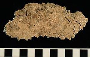 Thumbnail of Water Pipe Fragment (1916.04.0008G)