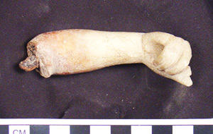 Thumbnail of Figurine Fragment, Arm (1922.01.0155)