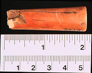 Thumbnail of Fragment (1923.01.0008)