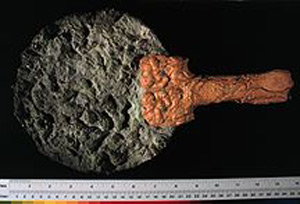 Thumbnail of Reproduction Hand Mirror (1924.01.0004)