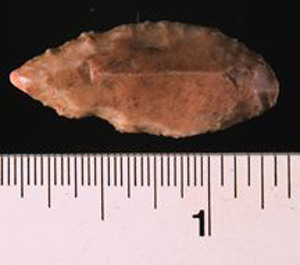 Thumbnail of Stone Tool: Projectile Point (1924.02.0217)