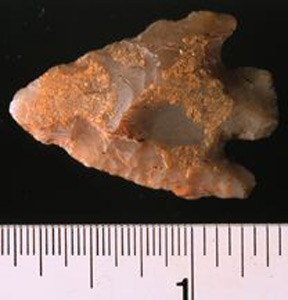 Thumbnail of Stone Tool: Projectile Point (1924.02.0220)