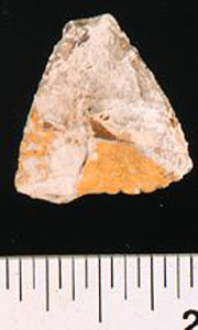 Thumbnail of Stone Tool: Projectile Point (1924.02.0222)
