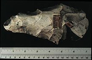 Thumbnail of Stone Tool: Hand Axe (1924.02.0473)