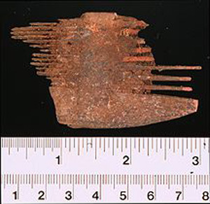 Thumbnail of Comb Fragment (1926.02.0037)