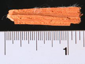 Thumbnail of Fragment (1926.02.0054)