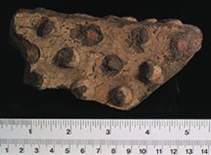 Thumbnail of Body Sherd, Casket Fragment (1926.02.0092)