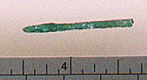 Thumbnail of Straight Pin Fragment (1926.02.0129R)